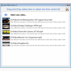 html 5 video tag on safari
